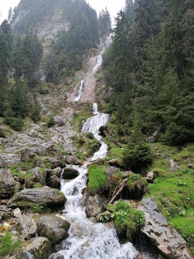 Cabana Cascada Cailor Hotel บอร์ชา ภายนอก รูปภาพ