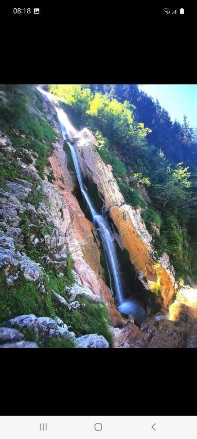 Cabana Cascada Cailor Hotel บอร์ชา ภายนอก รูปภาพ